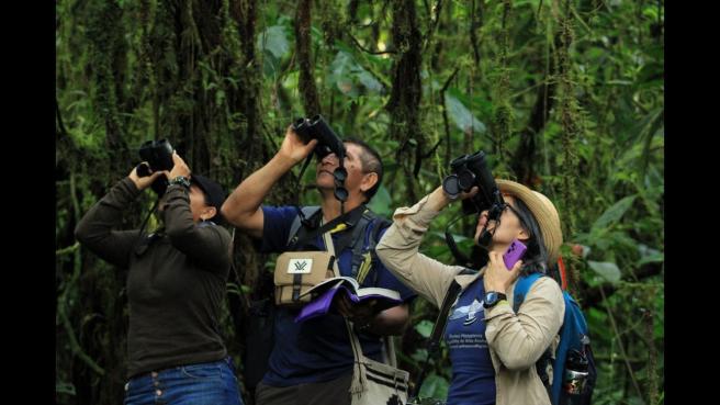 Colombia, el mejor destino para observación de aves.