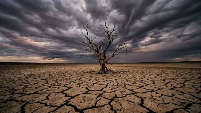 Las diferentes situaciones producto del cambio climático como inundaciones, incendios, altas temperaturas; tienen un alto costo en los países que aún no se han medido cabalmente y que pueden afectar considerablemente su desarrollo.