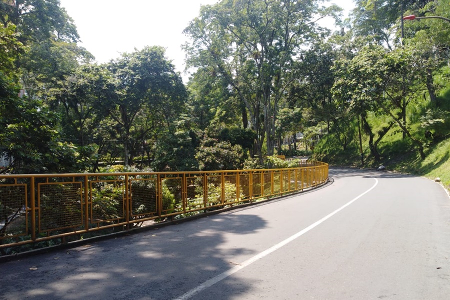 Alcaldía de Ibagué