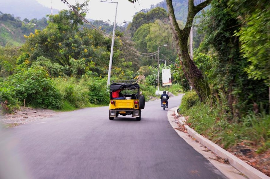 Alcaldía de Ibagué