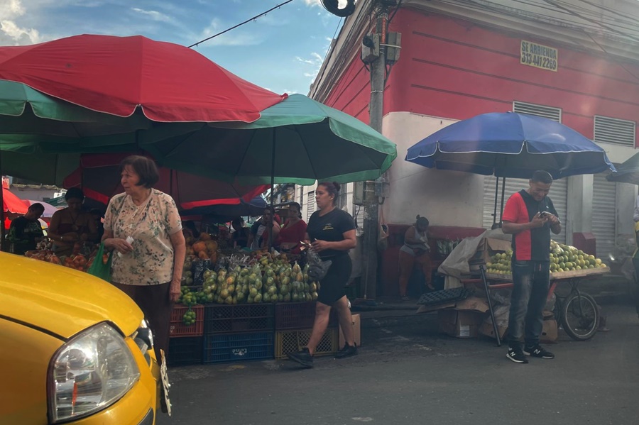 Alcaldía de Ibagué