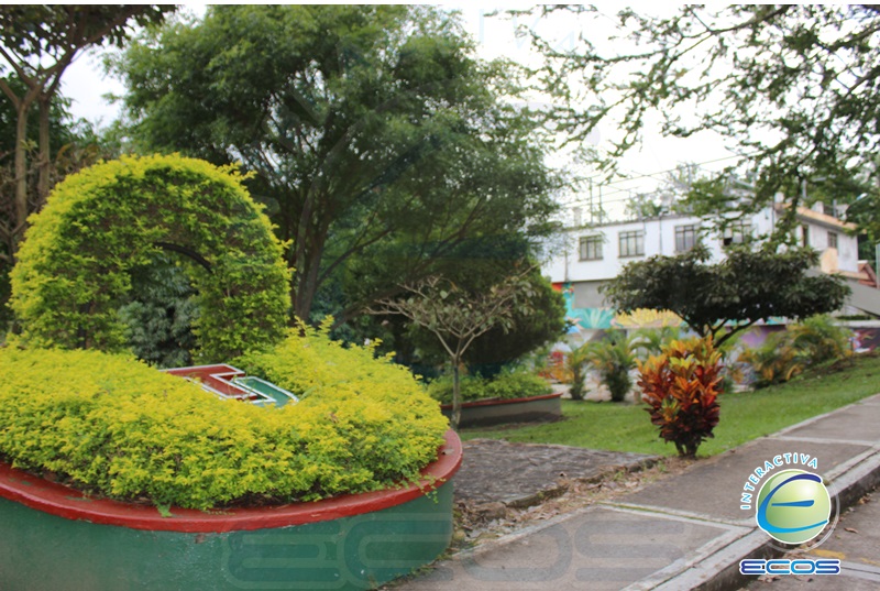 Universidad del Tolima