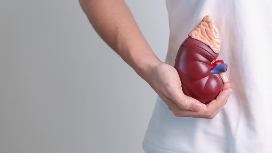 DÍA MUNDIAL DEL RIÑON - 2