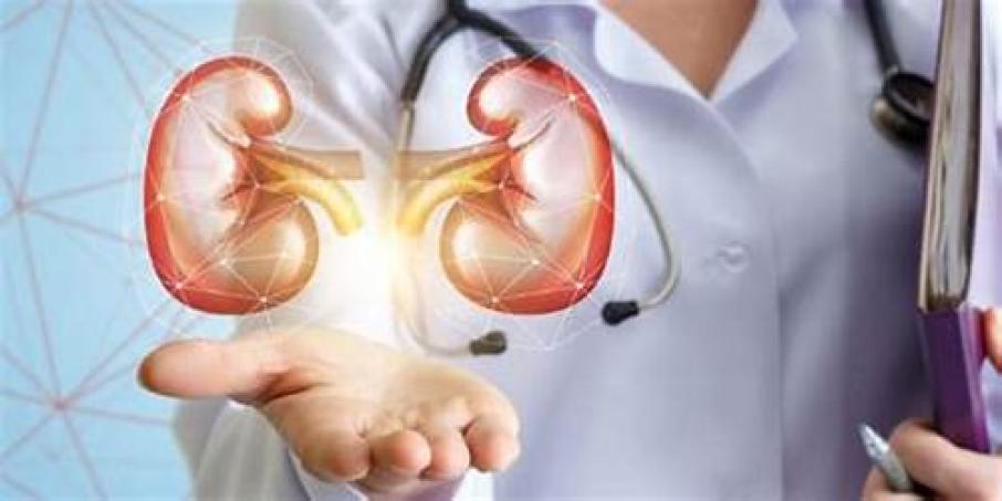 Día Mundial del Riñón - 3