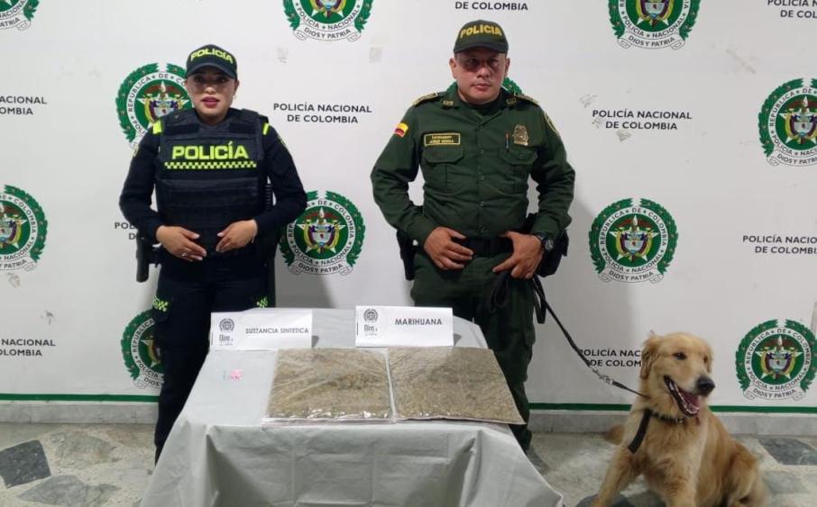 Incautación Marihuana