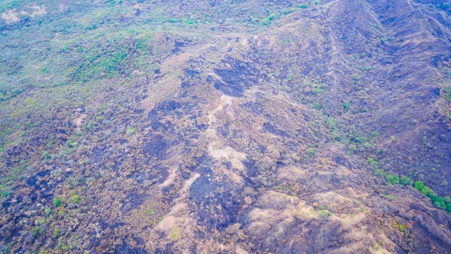 incendios tolima