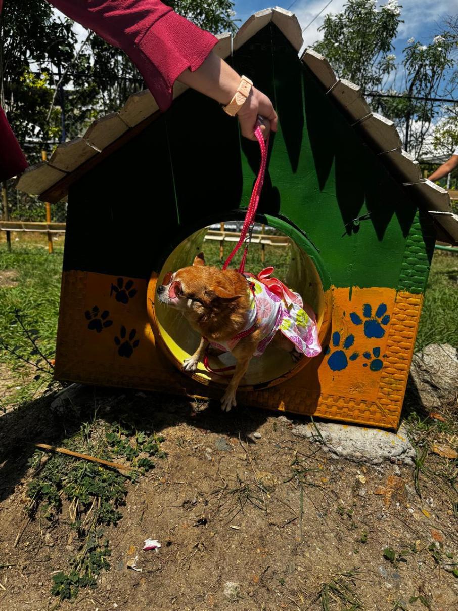 perro_gordo_dog_park_los_tunjos
