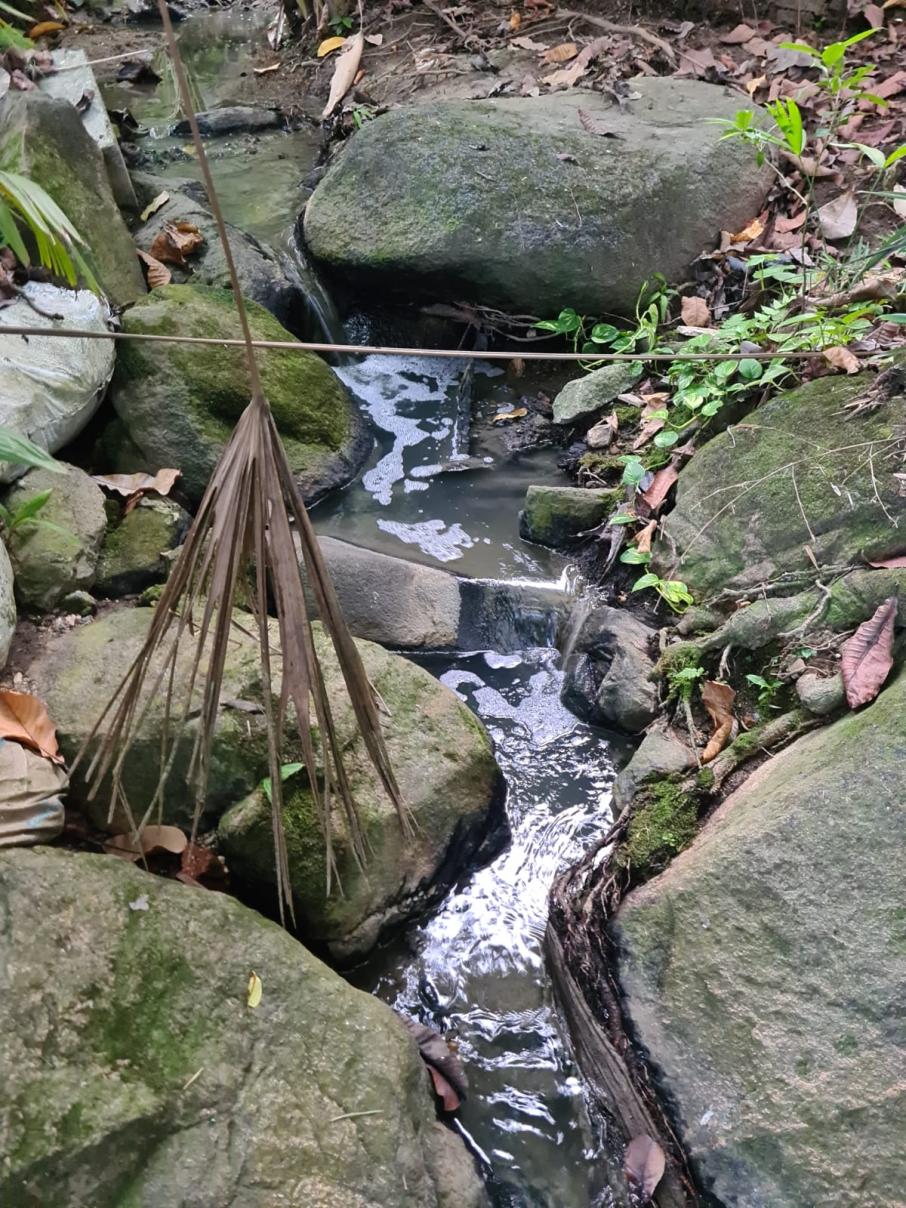 Quebrada de El Vergel
