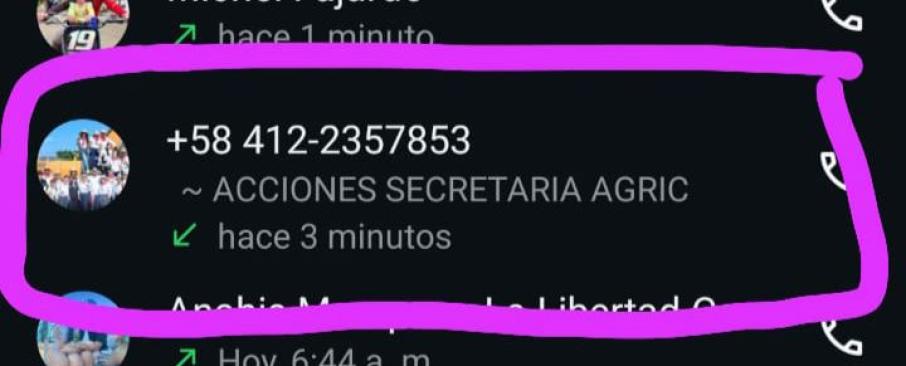 Alcaldía