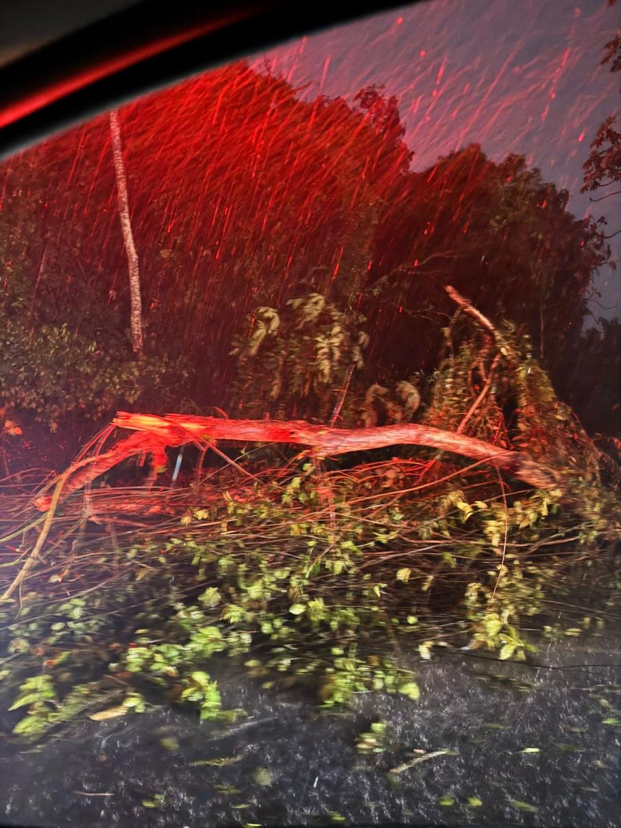 1_apoyo_lluvias4.jpeg