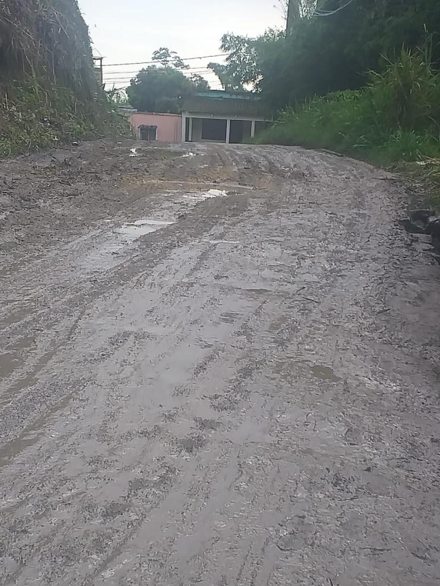 El Jazmín