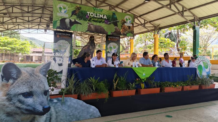 Cortolima en Rovira