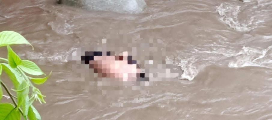 Cadaver Río Coello