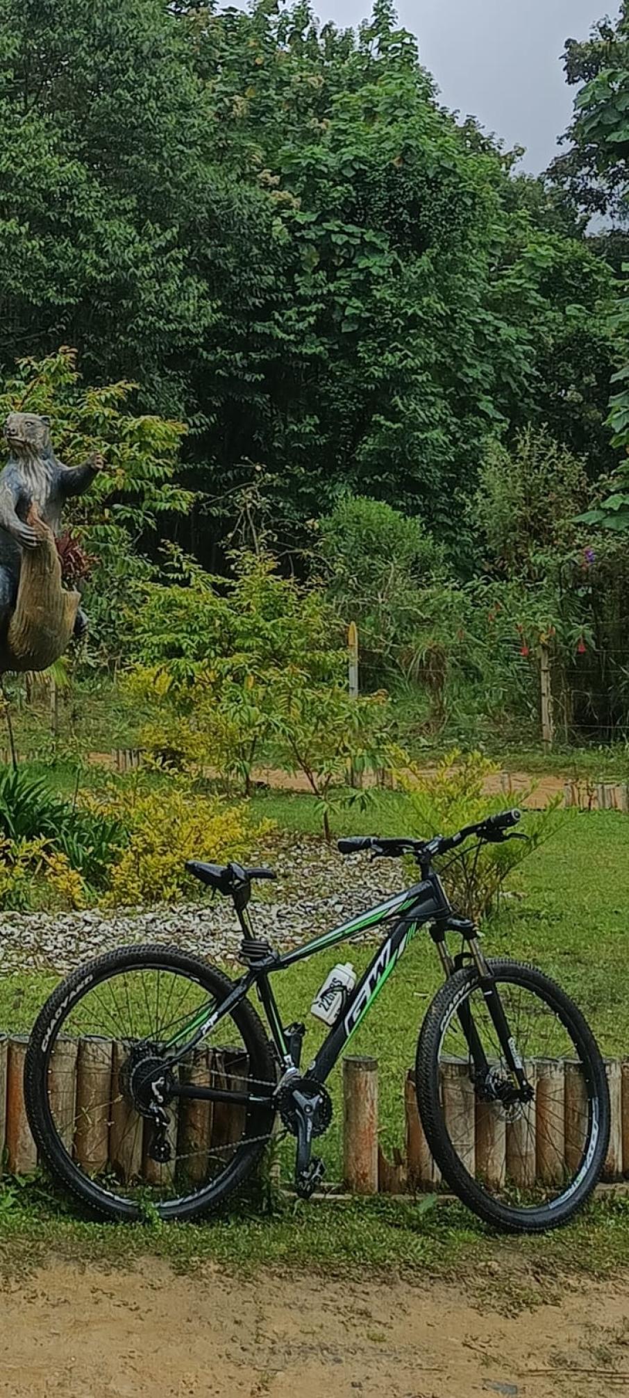Bicicleta