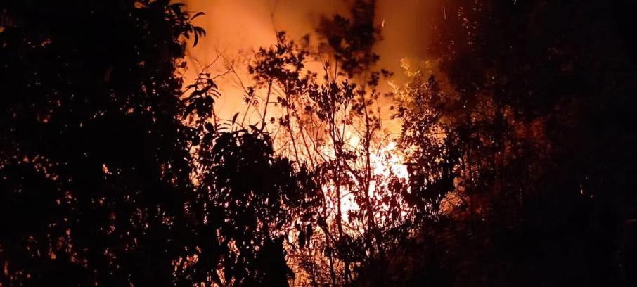 Incendio Dolores 2