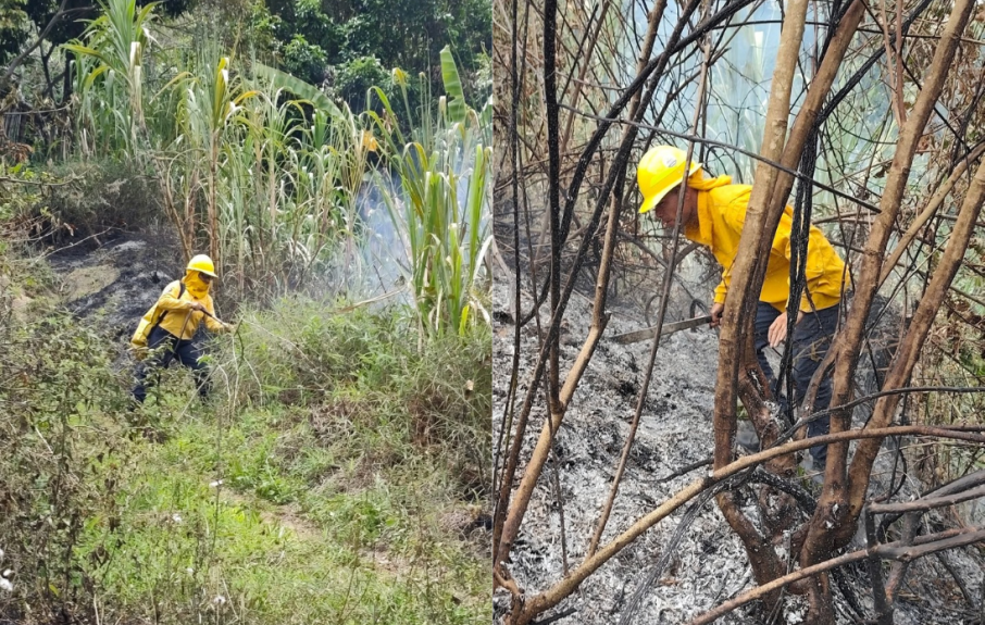 Incendio Planadas 2
