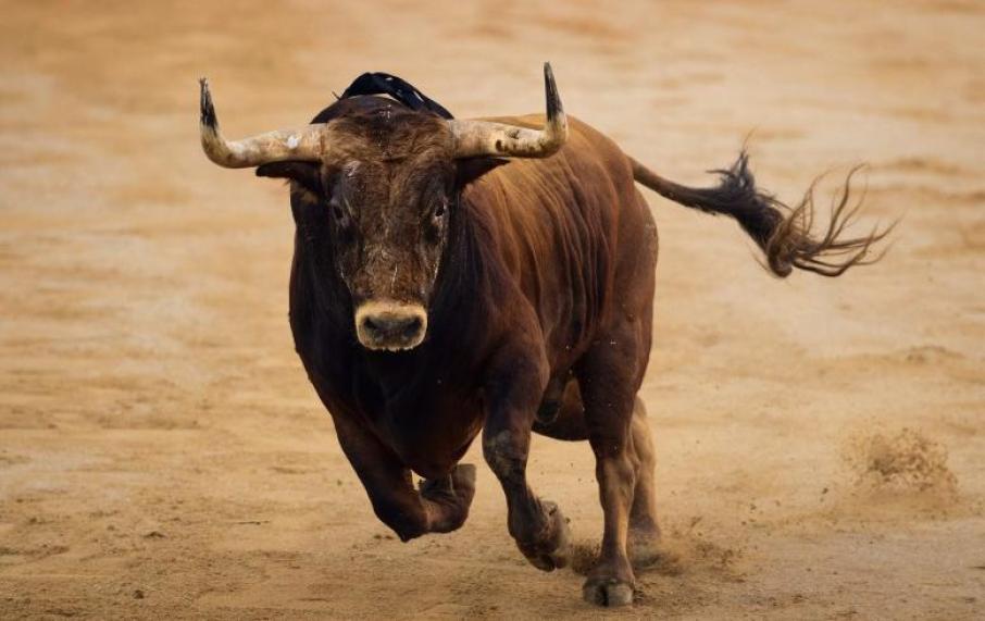 toro_ec87669_mg362002