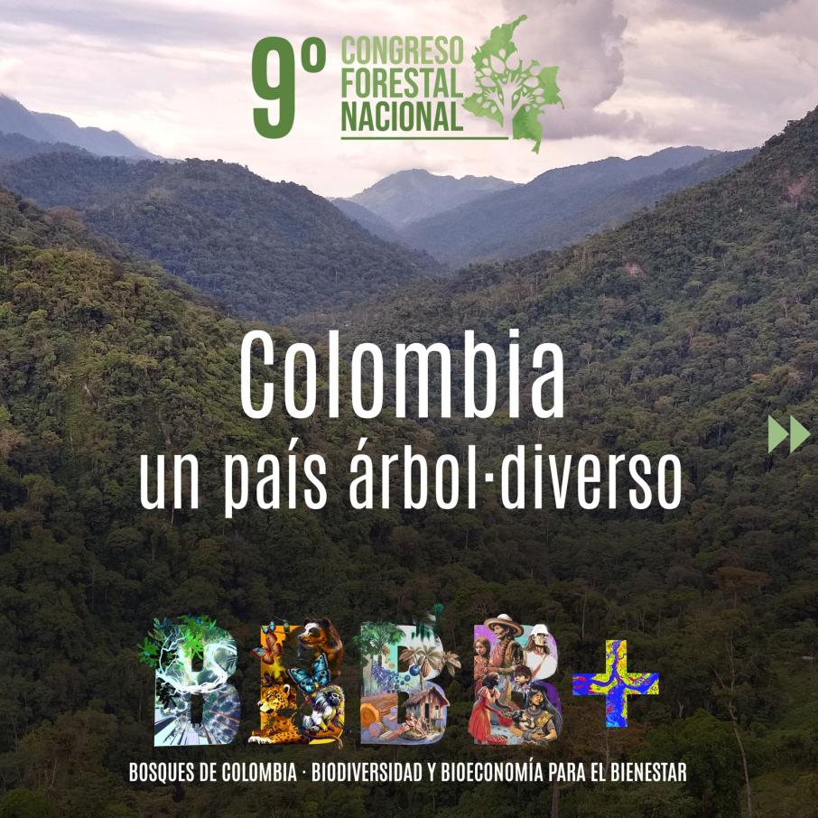 noveno congreso en Ibagué