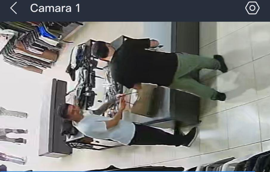 Dos sujetos en una cámara de seguridad.