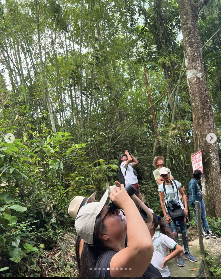 avistamiento de aves oasis