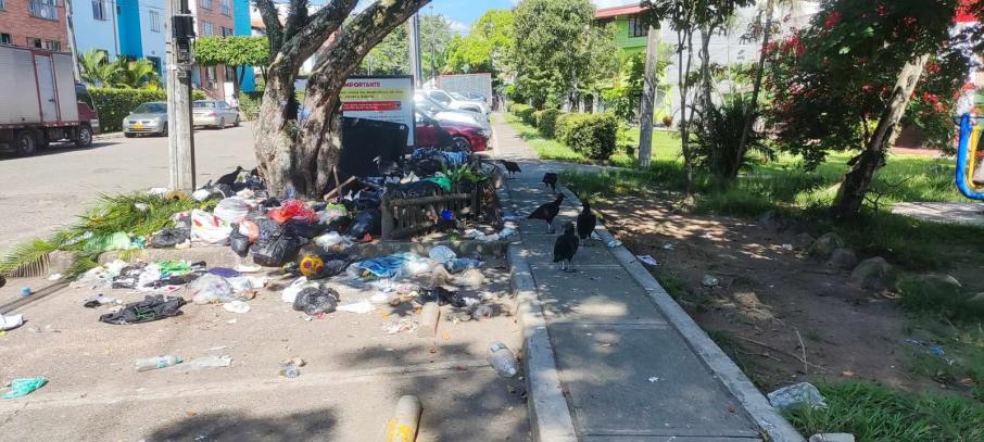 basuras en Ibagué