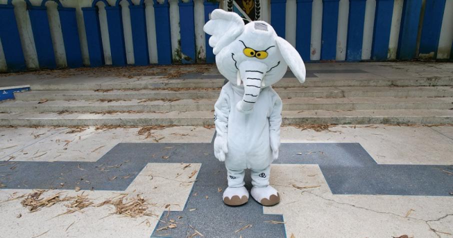 Luis Carlos Rúa Sánchez  “Elefante Blanco”