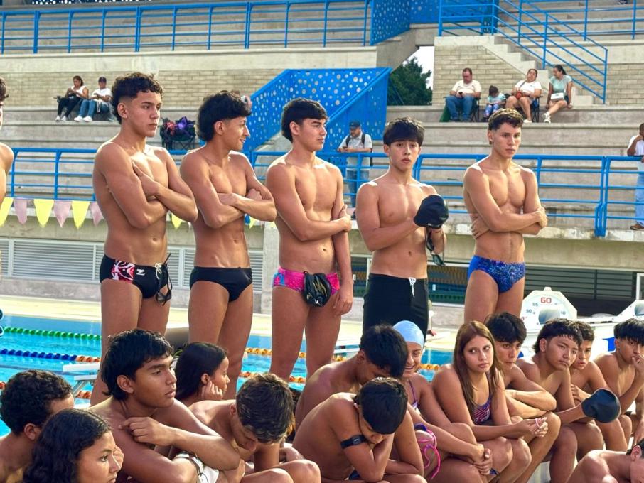 Liga de natacion del Tolima 