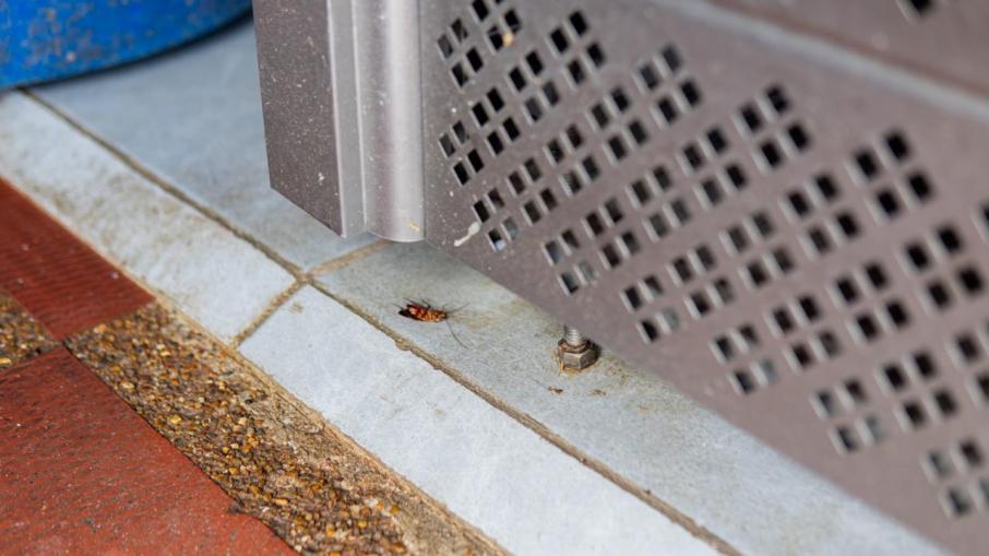 Inspecciones de la Sec de Salud 