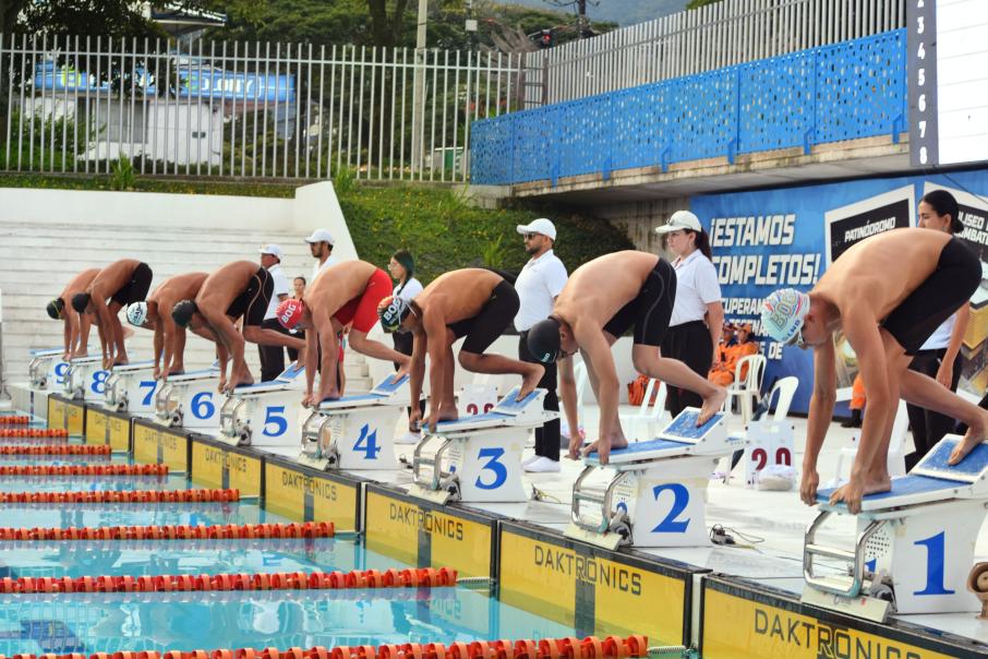 Liga de natacion del Tolima 