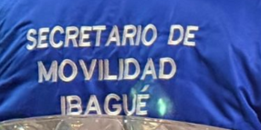 Secretario de movilidad