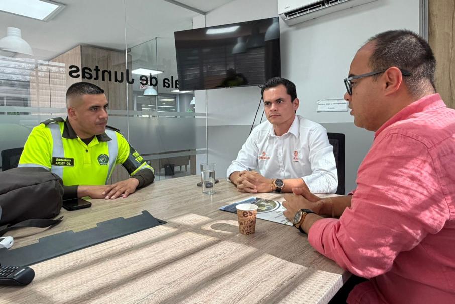 alternativas