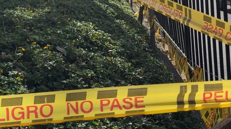 ¿Serán suficientes las cintas amarillas? La apuesta de Ibagué para proteger el ornato la Carrera Quinta durante el Festival