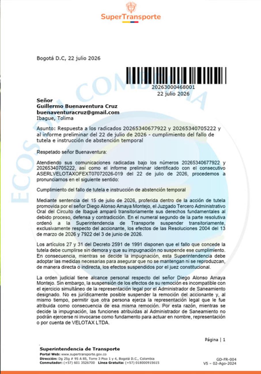 plantilla-medidaspagina.jpg