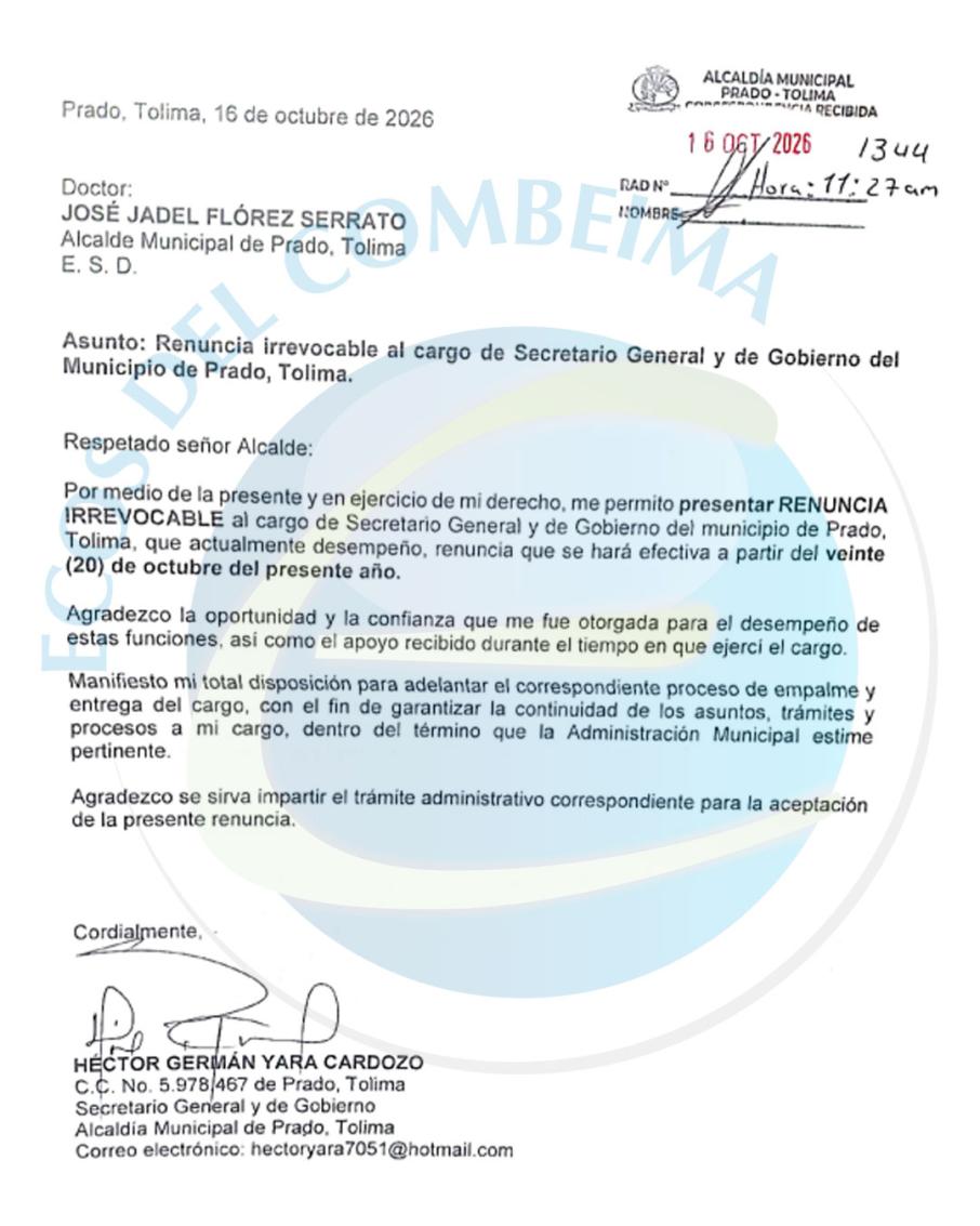 plantilla-medidaspagina.jpg