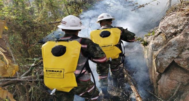 Incendio forestal en Roncesvalles