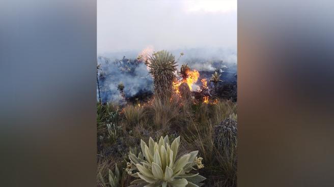 Incendios forestales en Roncesvalles