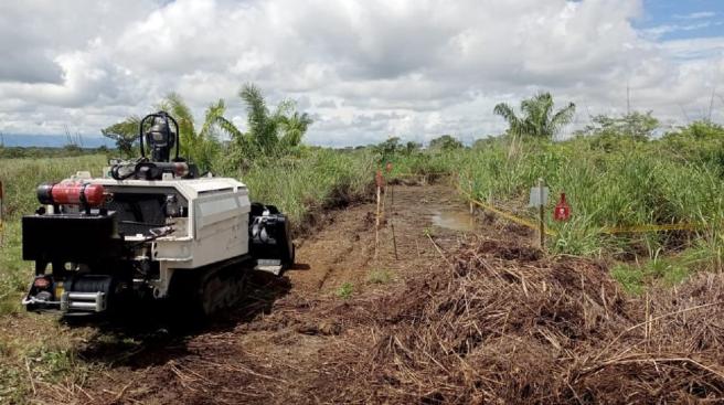 Chaparral desminado humanitario 