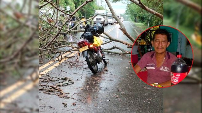 Muerto por árbol