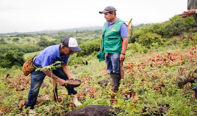 Cortolima restauración 2024 junio 4
