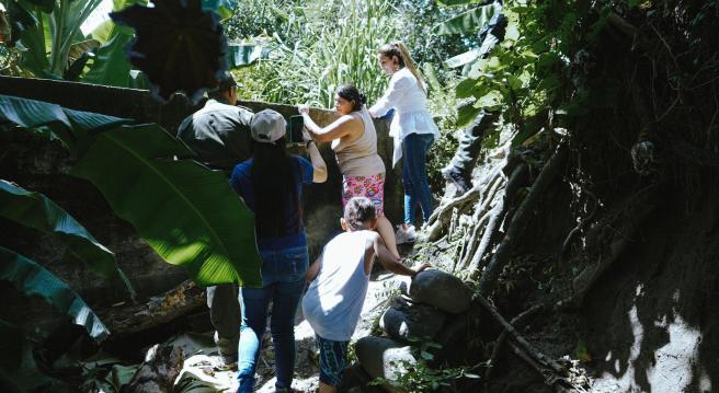 Gobernadora del Tolima
