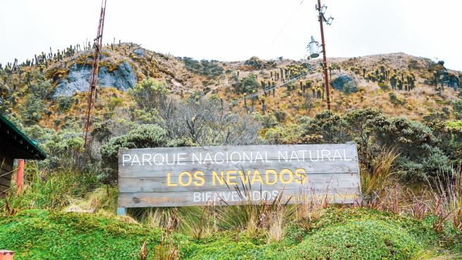 Parque