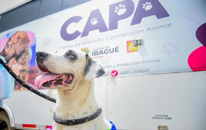 CAPA al barrio