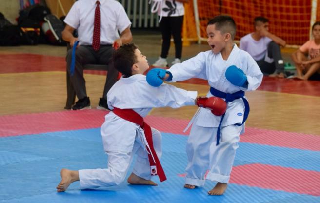 Campeonato Open de Karate