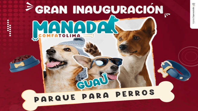 Aviso