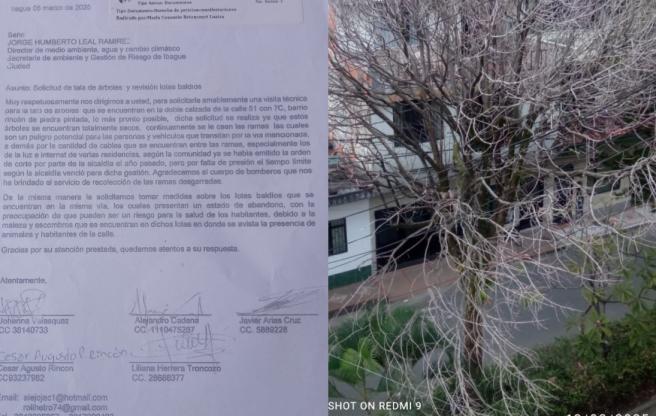 Denuncia Piedra Pintada