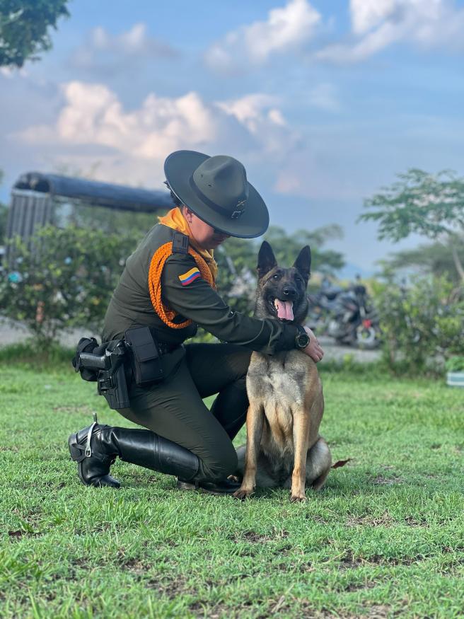 Hestia, la nueva integrante de la Policía Tolima para la lucha antinarcóticos
