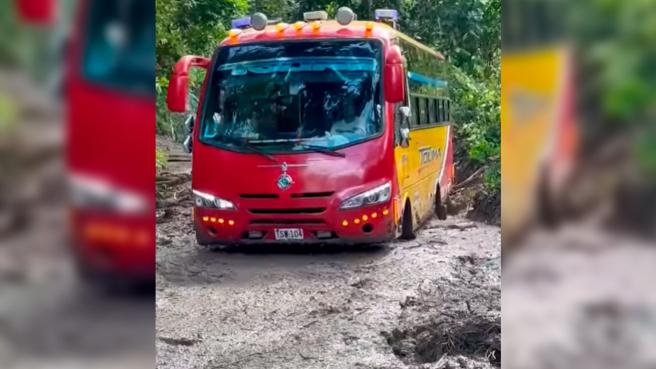 bus.jpg