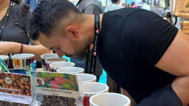 Catador de café