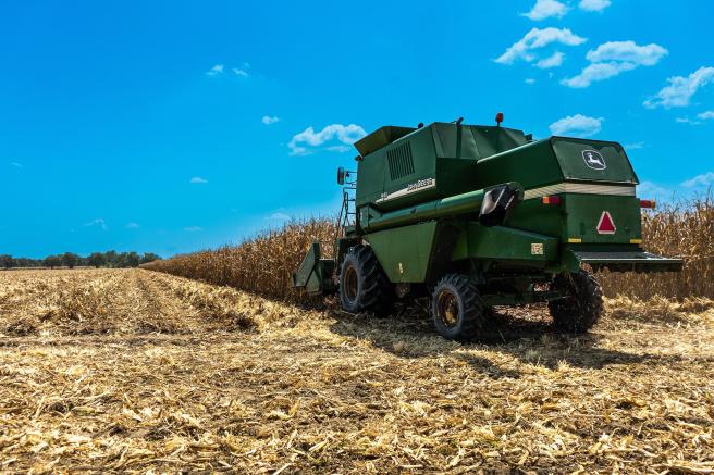 , Colombia exportó más de 4.000 toneladas de cereales, leguminosas y soya en 2024.