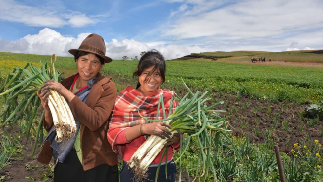 Esta iniciativa tiene como objetivo fundamental crear un fondo que brinde a las mujeres del campo el acceso a financiamiento, capacitación y recursos necesarios para desarrollar proyectos sostenibles y ecológicos .